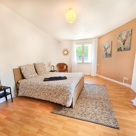Le Zola - Appartement Spacieux - Grenoble Dış mekan fotoğraf