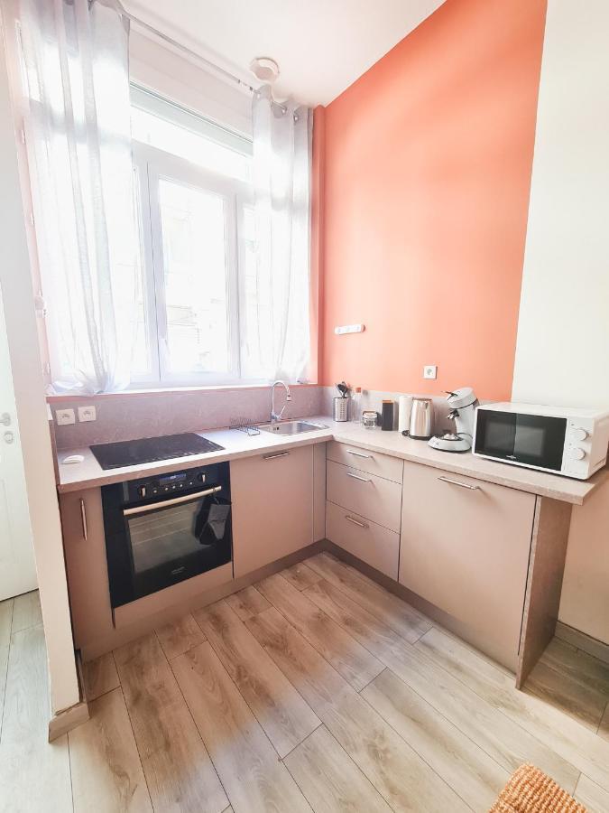 Le Zola - Appartement Spacieux - Grenoble Dış mekan fotoğraf