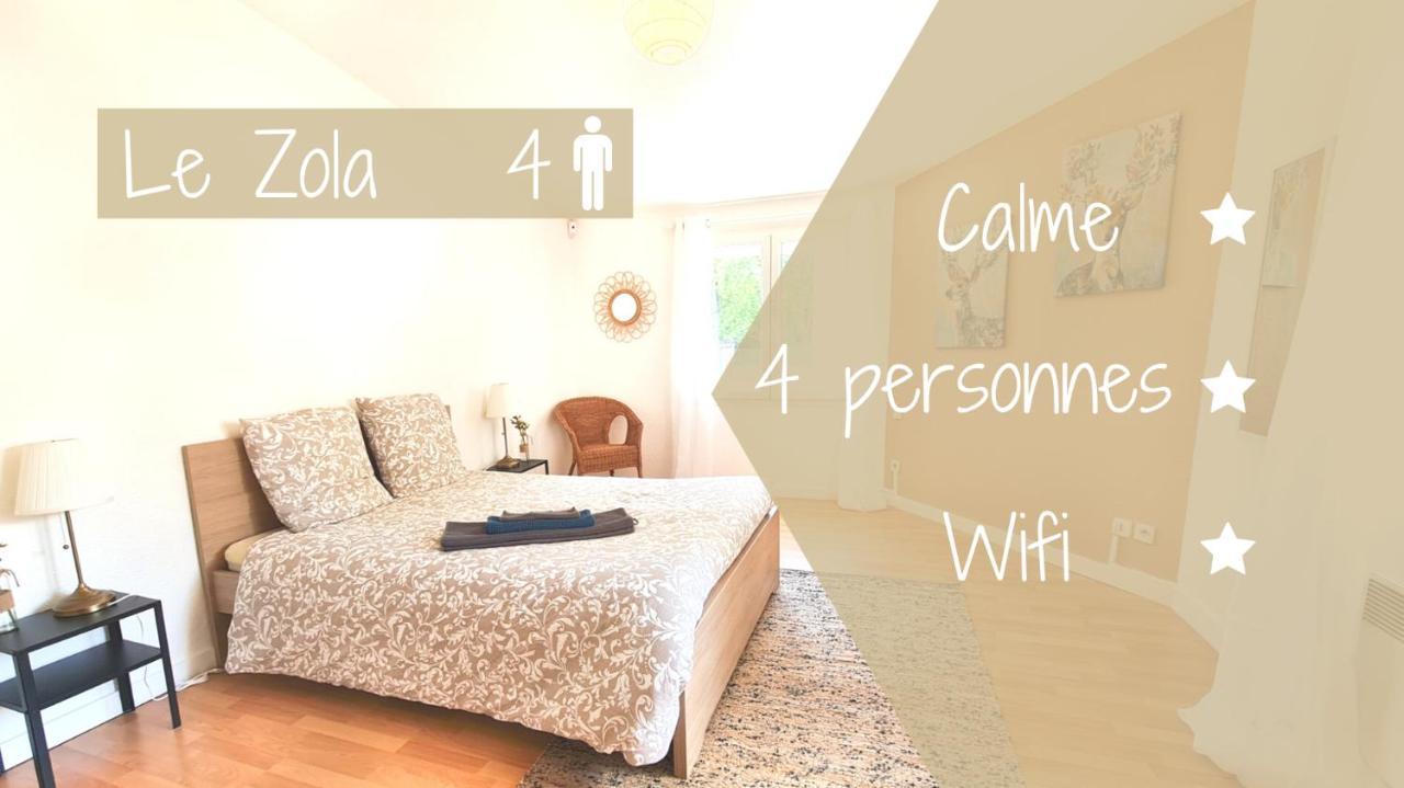 Le Zola - Appartement Spacieux - Grenoble Dış mekan fotoğraf